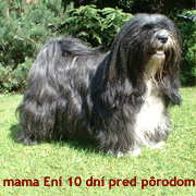 Eni 10 Tage vor dem Geburt